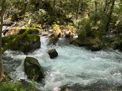 -叠溪松坪沟景区