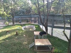 -昆明动物园