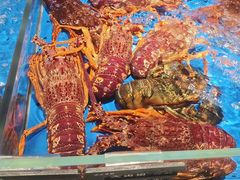 -徐记海鲜(曲江南湖店)