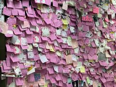 -雨霖祥和炖肉(南市店)