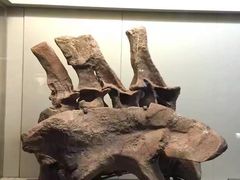 -世界恐龙谷景区