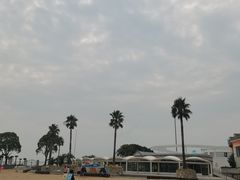 -碧海金沙