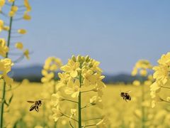 -新佳丽时尚广场