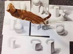 -青沐画室·专业美术培训