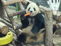 -大连森林动物园