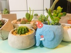 -蜜蜂小象·榴莲千层蛋糕(时代汇11栋店)