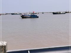 -丰收渔港饭店(嵊泗店)