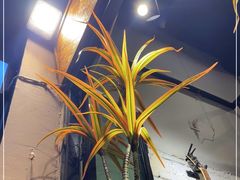 -KARN敢·春武里泰国小餐馆(版筑翠园店)