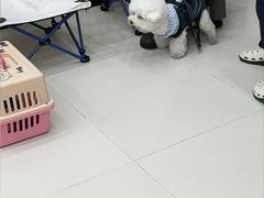 -御宝贝24h宠物医院·转诊中心·CT核磁血透中心(厦门总院)