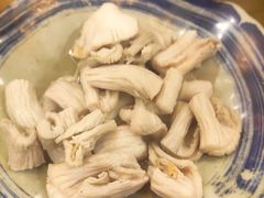 羊肚仁-金生隆(六铺炕店)