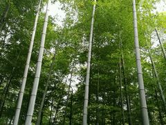 南山景区-南山风景名胜区