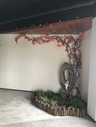 -新境界舞蹈培训中心