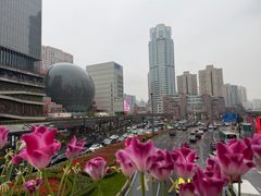 -美罗城