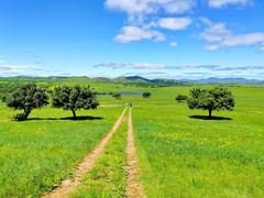 -五角枫生态旅游景区