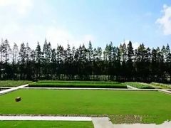 -前小桔亲子创意农场·草莓采摘·露营烧烤