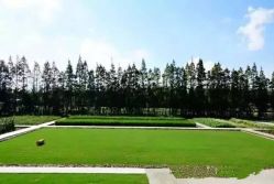 -前小桔亲子创意农场·草莓采摘·露营烧烤