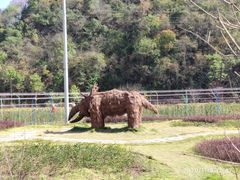 -千年银杏谷文化旅游区