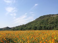 -雪浪山卡丁车俱乐部