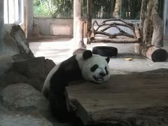 -海南热带野生动植物园