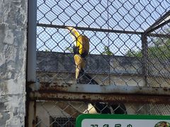 -合肥野生动物园
