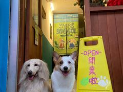 -芭比堂动物医院广州顽皮分院