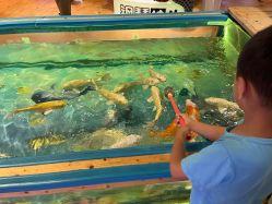 -卡通尼·Safari非洲探索乐园·生日会(金桥国际商业广场店)