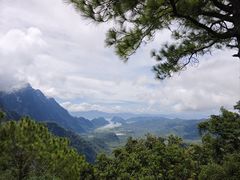 -海南霸王岭国家森林公园
