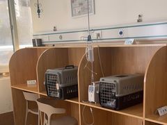 -美联众合动物医院·24h京西诊疗中心