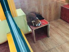 -无锡动物园·太湖欢乐园