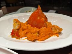 -喜鼎海胆水饺(东港店)