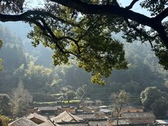 -杨家堂村