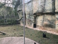 -杭州野生动物世界