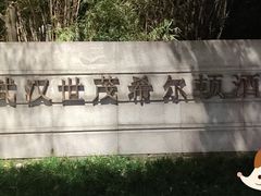 -武汉世茂希尔顿酒店·汇·全日餐厅