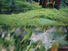 -成都市活水公园
