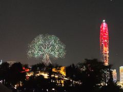 -莲花山公园