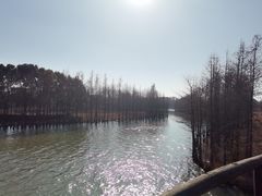 -苏州太湖国家湿地公园