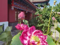 -天津市峰山药王古寺