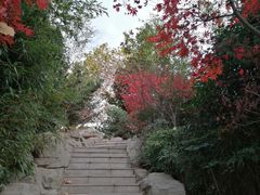 -中国海洋大学（崂山校区）-图书馆