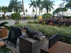 -星巴克(珠海仁恒滨海中心店)