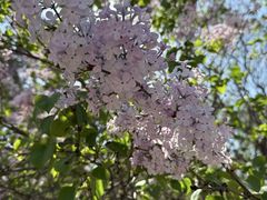 -济南国际园博园