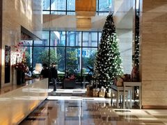 -上海龙之梦万丽酒店