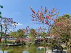-洪湖家庭农场·团建·露营·会议