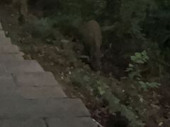 -敬亭山风景名胜区