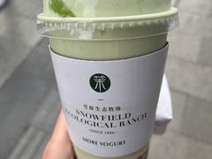 -茉酸奶(春熙路店)
