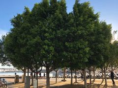 -墨尔本滨海港区