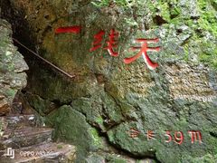 -天女山森林公园