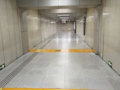 -大望路(地铁站)