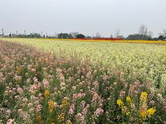 -中国天府农业博览园