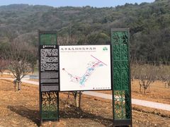 -龙寺生态园