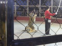 -西安秦岭野生动物园